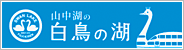 山中湖遊覧船 山中湖の白鳥の湖