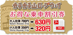 カチカチ山ロープウェイ割引券