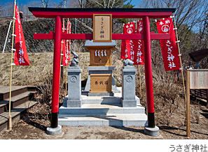 うさぎ神社