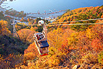 紅葉の時期