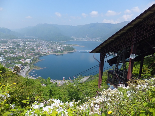 季節感じるお花たち